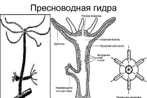 Кракен даркнет официальный