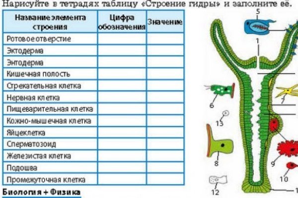 Актуальные ссылки кракен на 2025